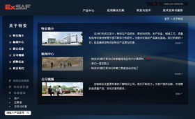 深圳特安電子與廣州企業網站服務 融合安全科技與數字營銷的跨城合作